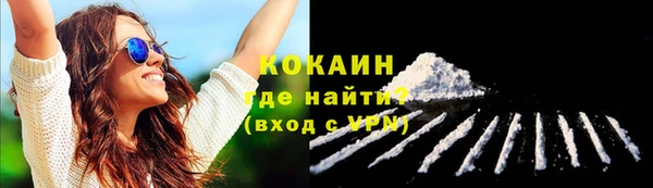 МДПВ Елизово