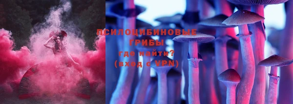 индика Алексеевка