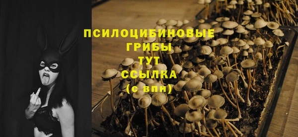 герыч Дмитриев