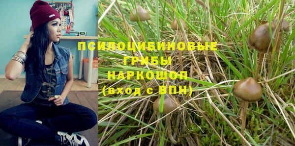 каннабис Алзамай